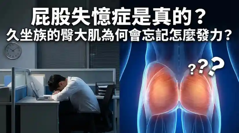 臀大肌失憶症久坐